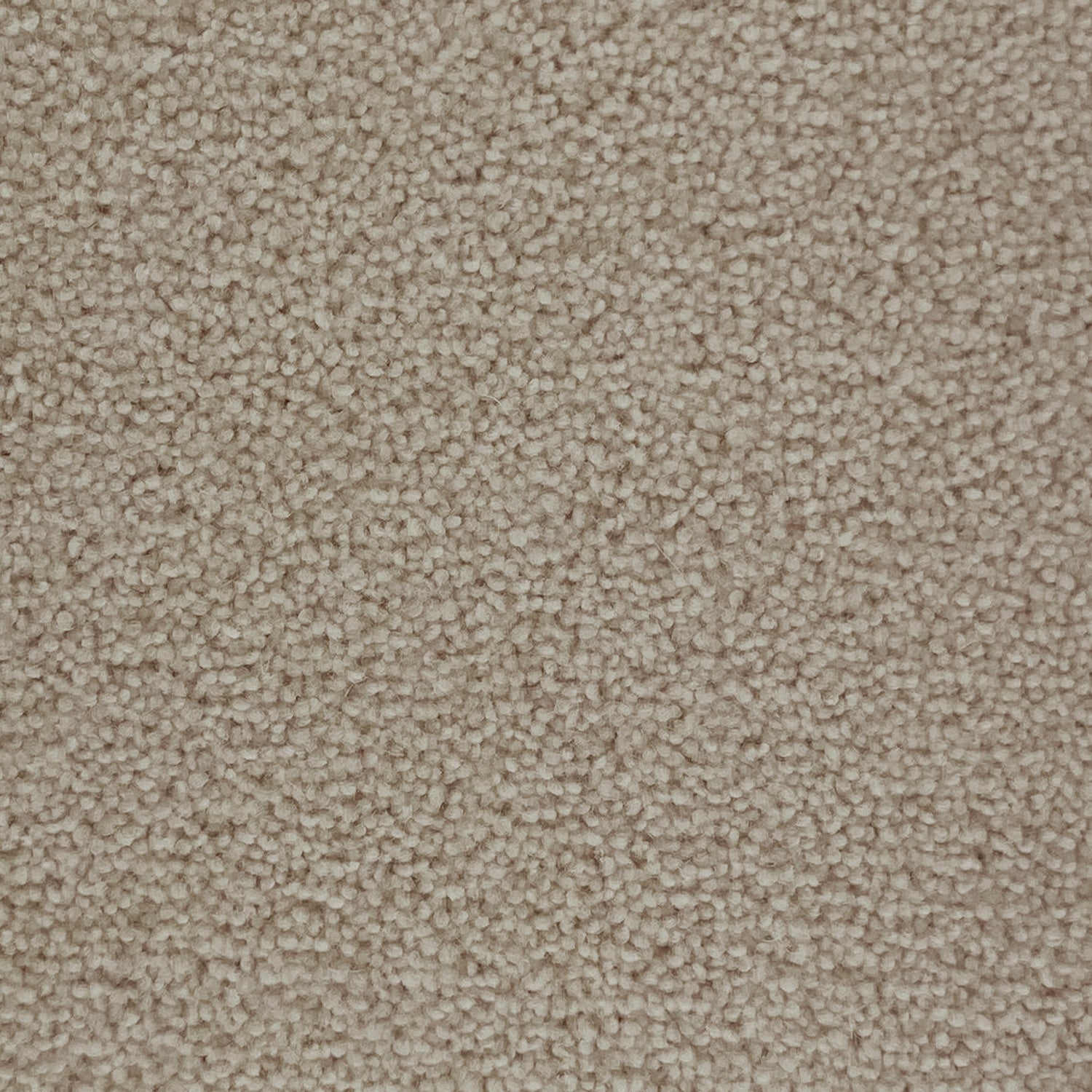 Associated Weavers Sedna Kai Nylon Twist Carpet