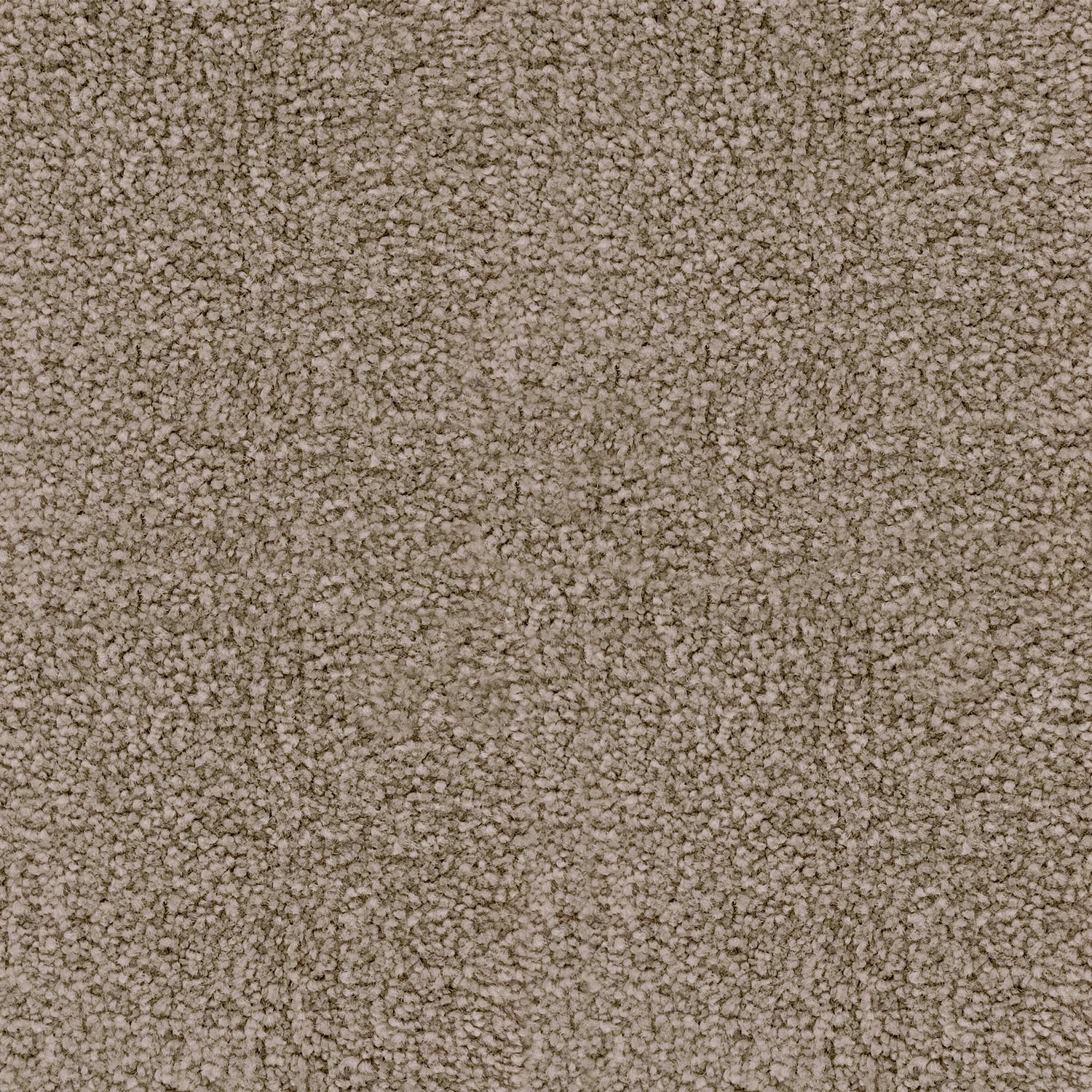 Associated Weavers Sedna Oshun Nylon Saxony Carpet