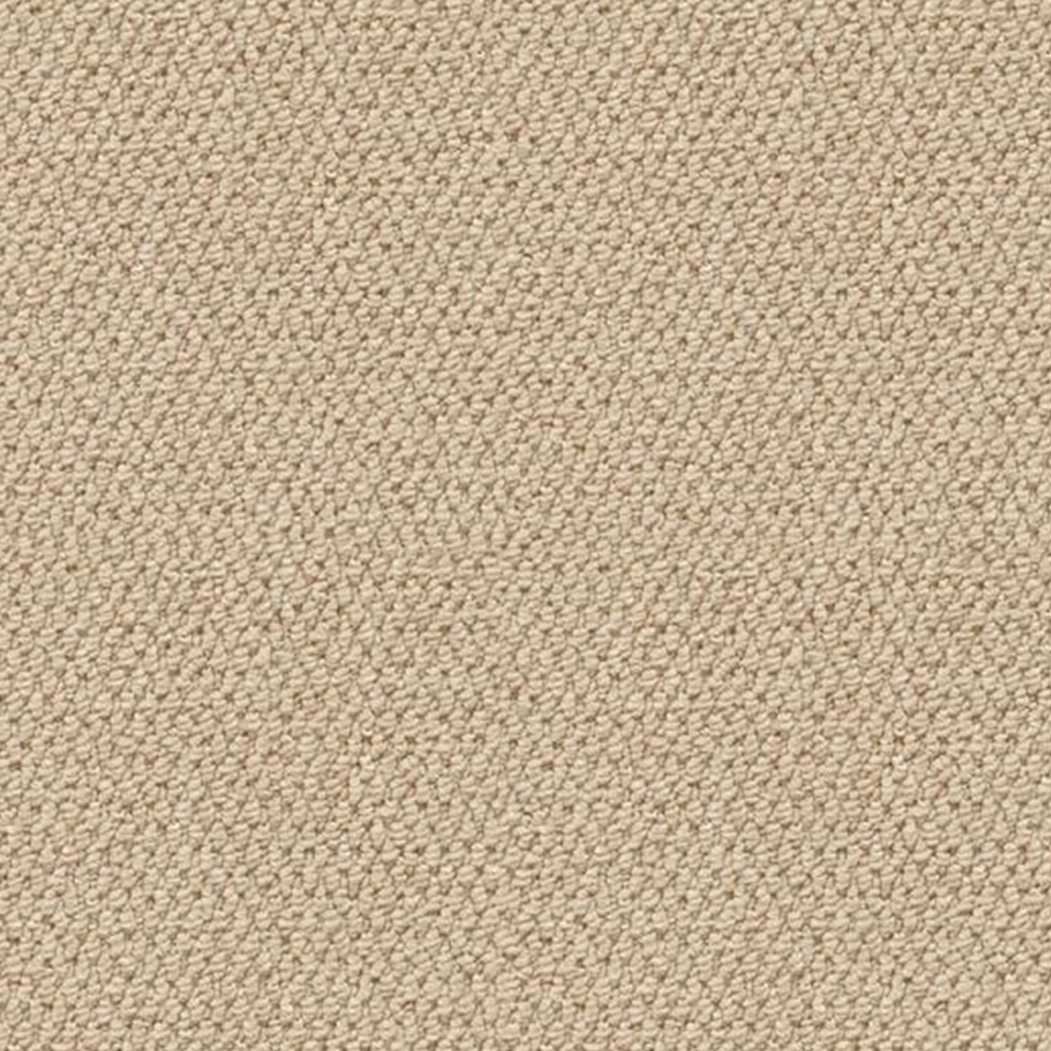 Associated Weavers Island Weave Skye Loop Carpet