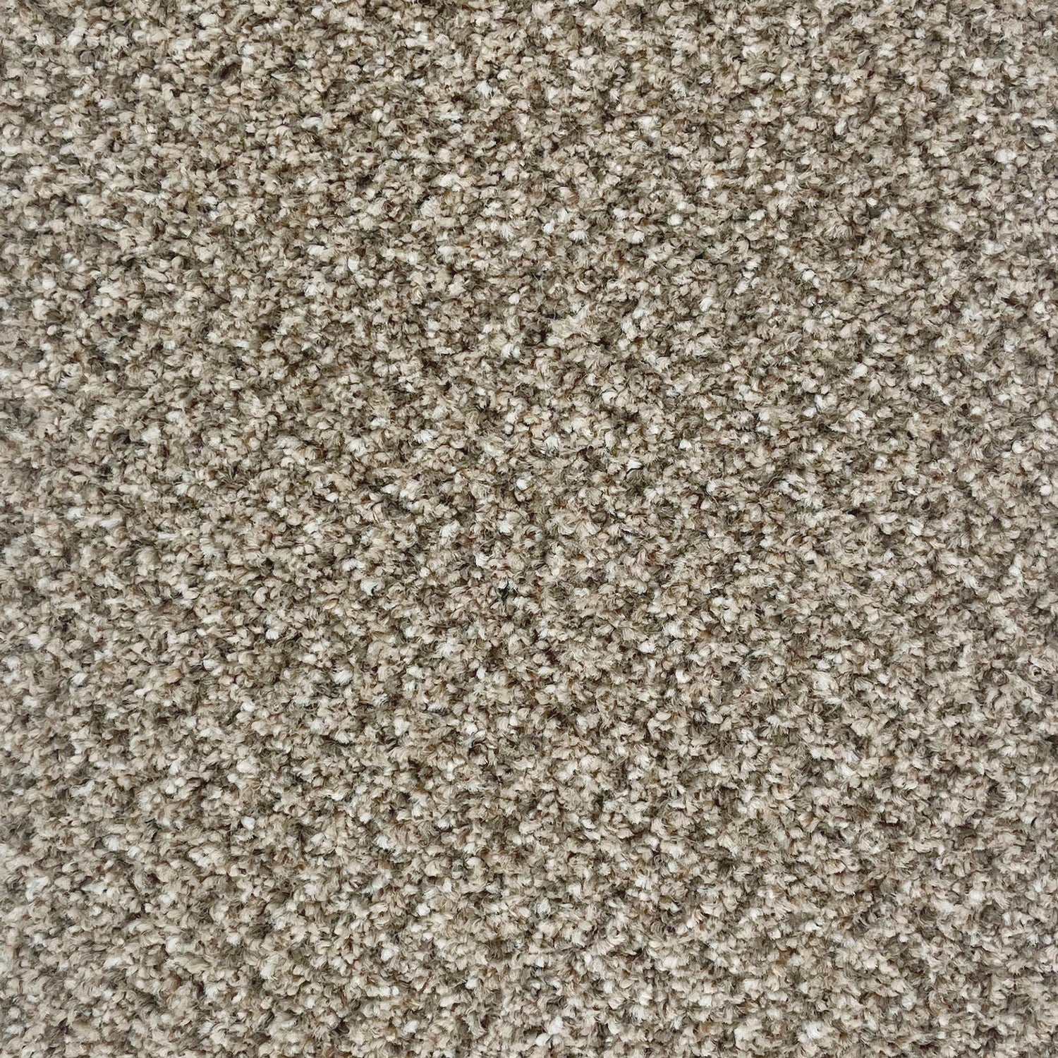 Associated Weavers Stainaway Tweed Twist Carpet