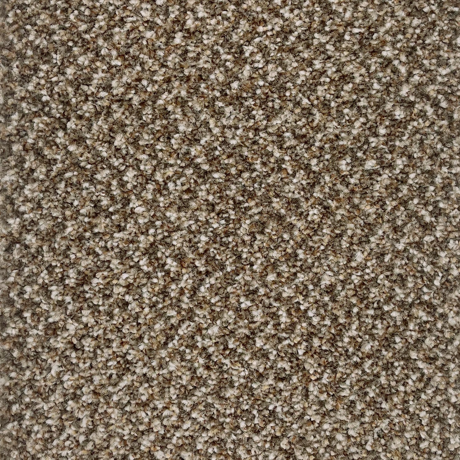 Associated Weavers Stainaway Tweed Twist Carpet