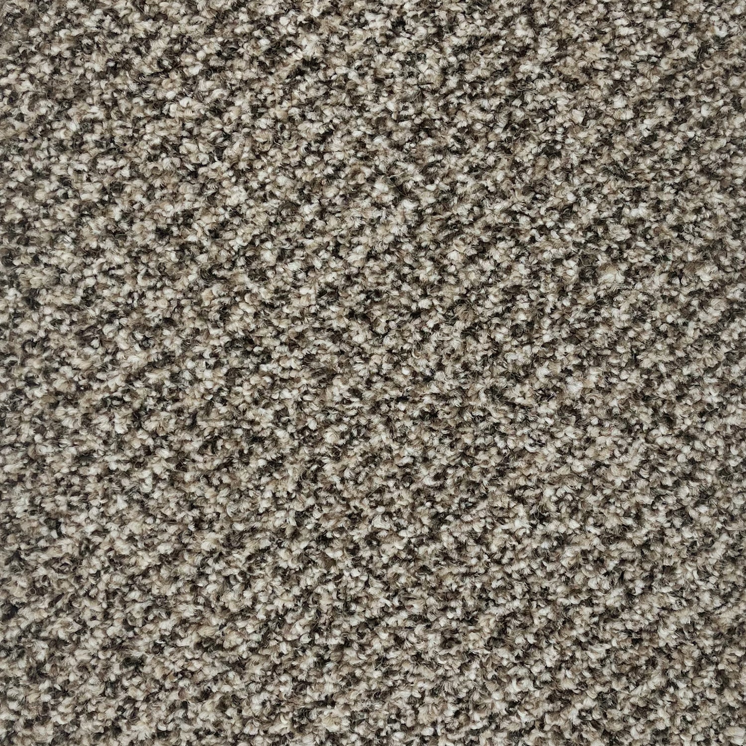 Associated Weavers Stainaway Tweed Twist Carpet
