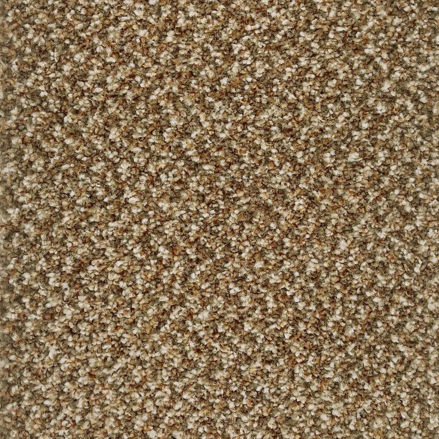 Associated Weavers Stainaway Tweed Twist Carpet