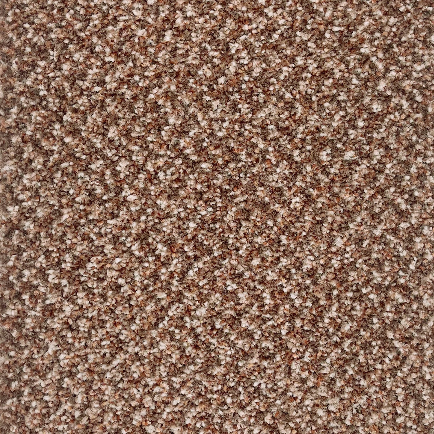 Associated Weavers Stainaway Tweed Twist Carpet