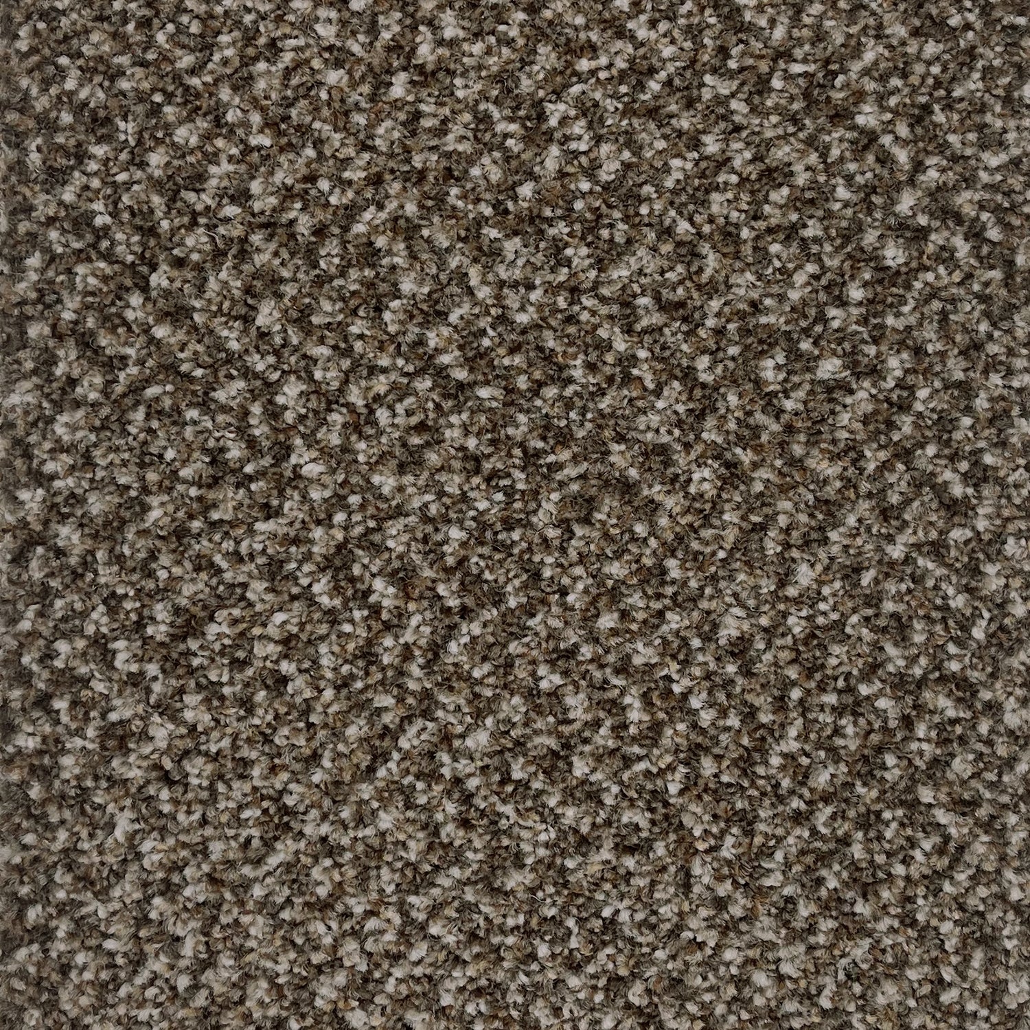 Associated Weavers Stainaway Tweed Twist Carpet