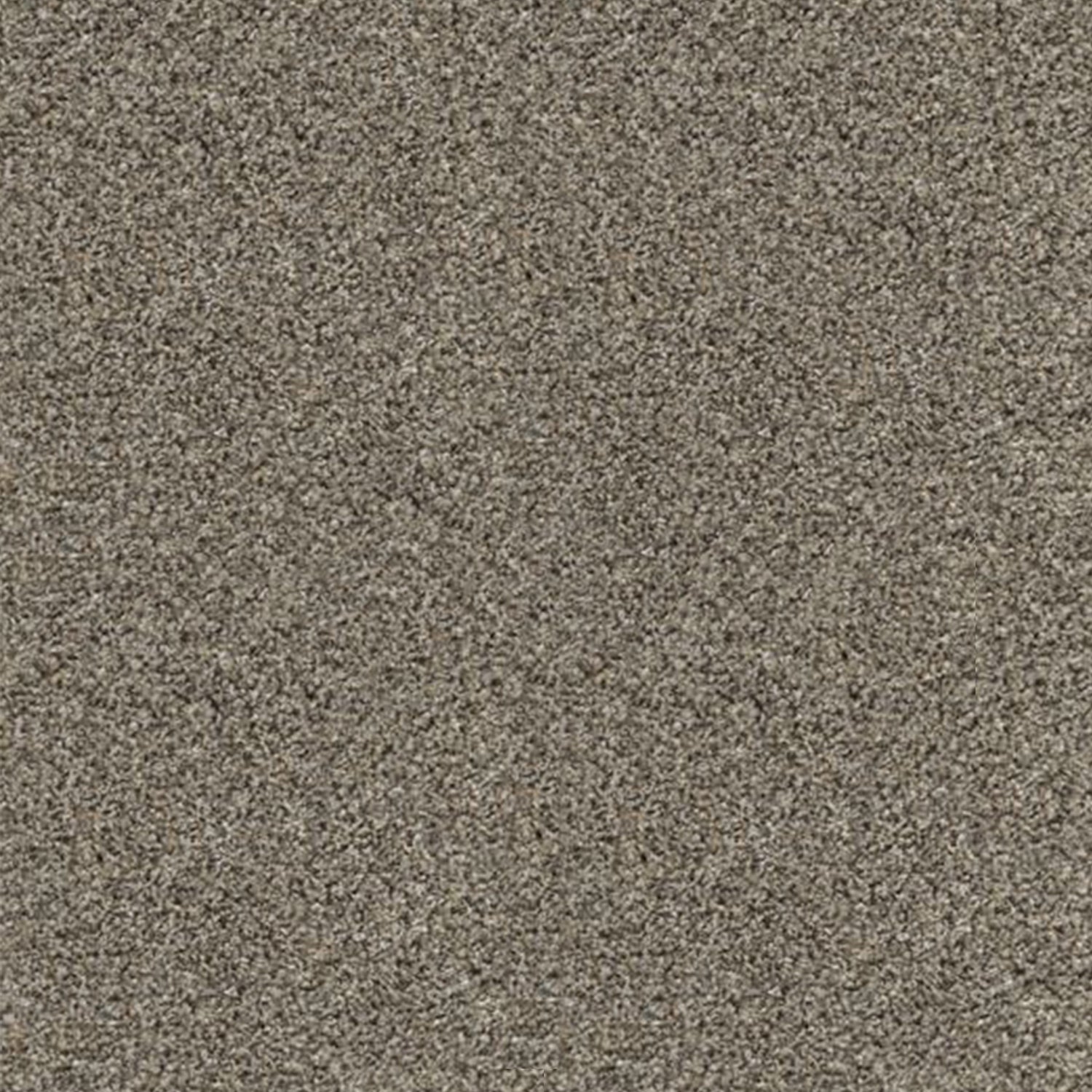 Associated Weavers Stainguard Harvest Heathers Twist Carpet