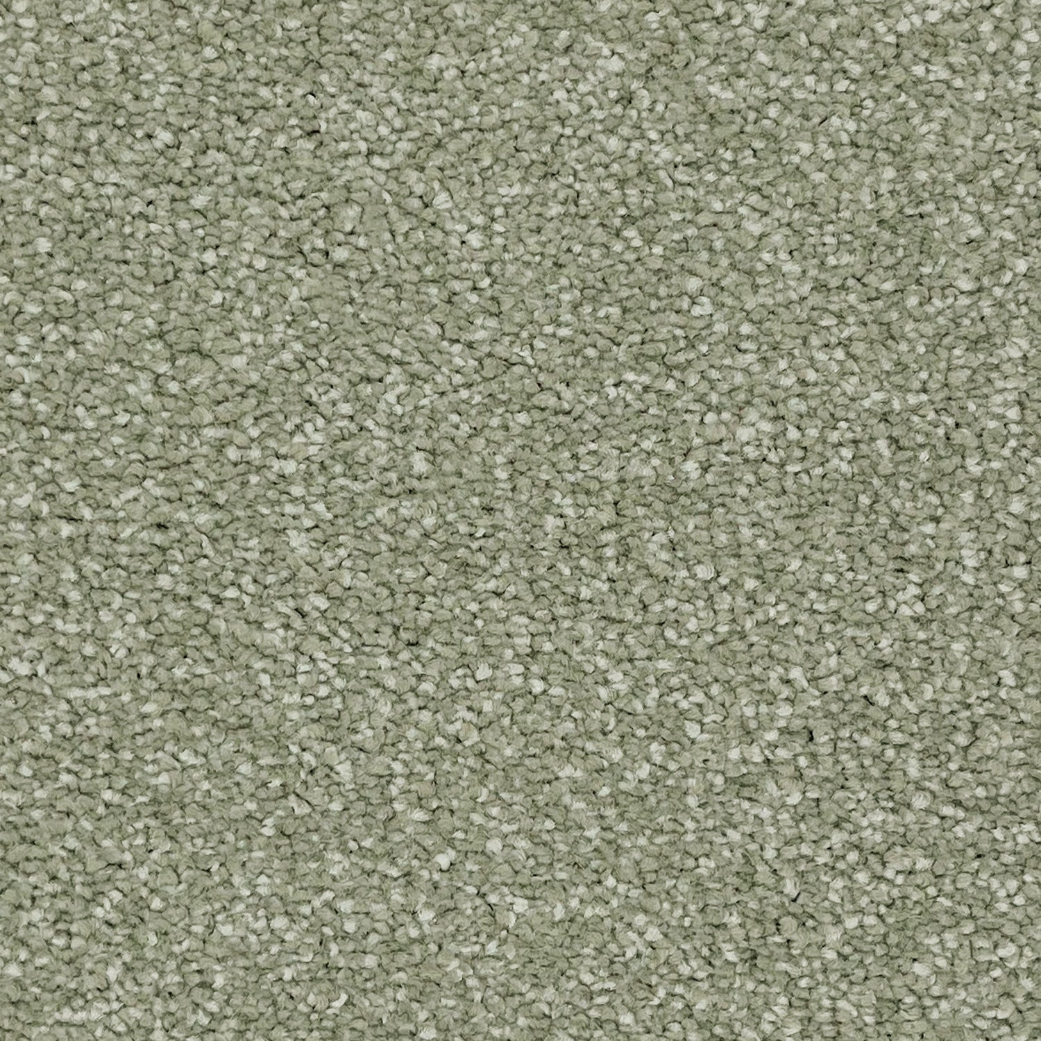 Associated Weavers Tribeca Twist Carpet