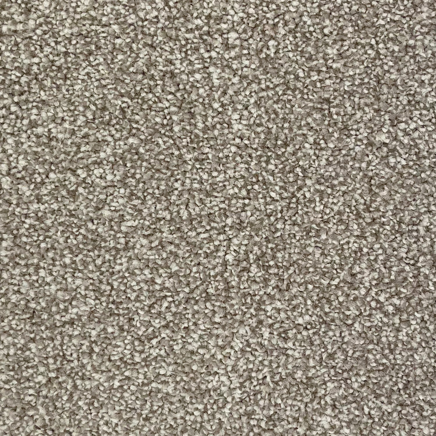 Associated Weavers Tribeca Twist Carpet