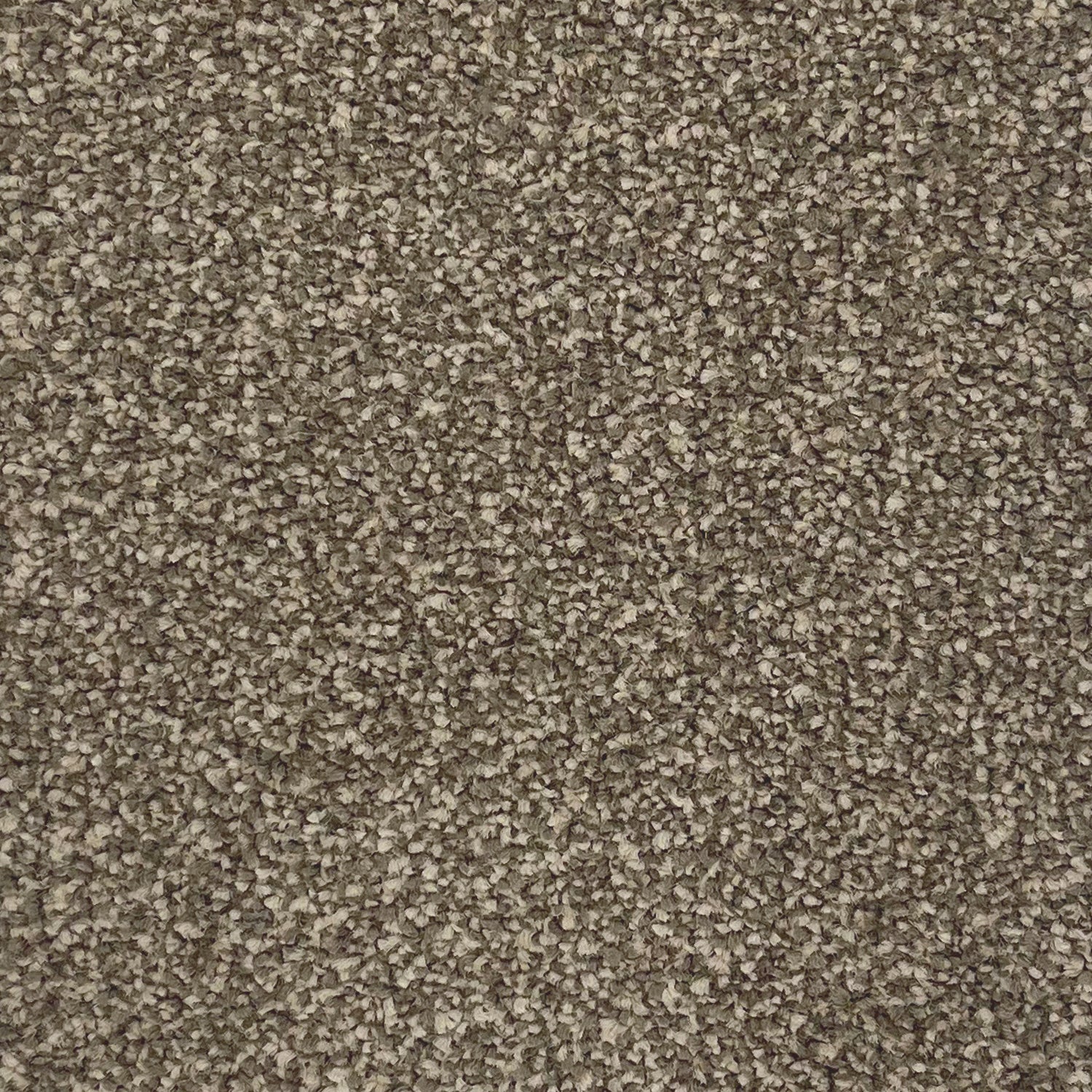 Associated Weavers Tribeca Twist Carpet