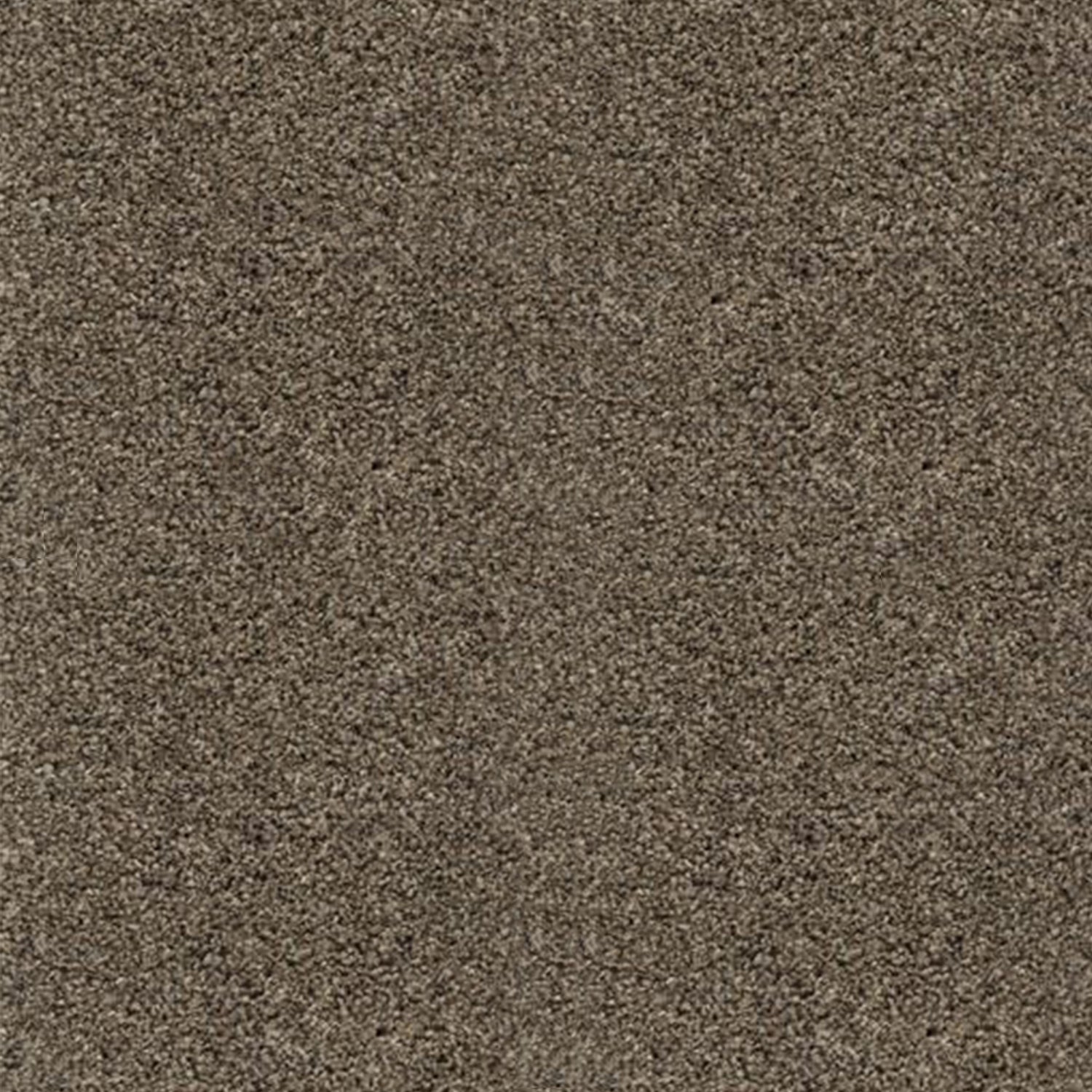 Associated Weavers Ultimate Harvest Heathers Saxony Carpet
