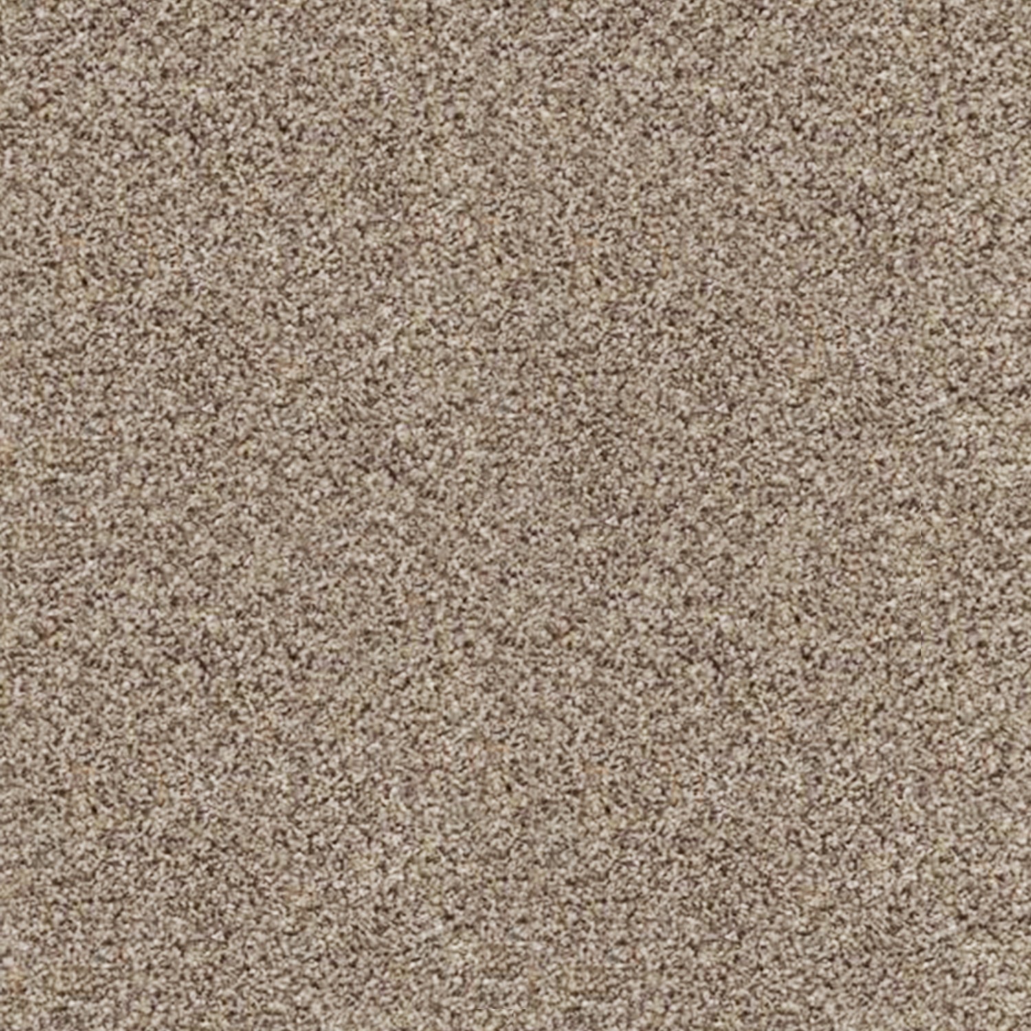 Associated Weavers Ultimate Harvest Heathers Saxony Carpet