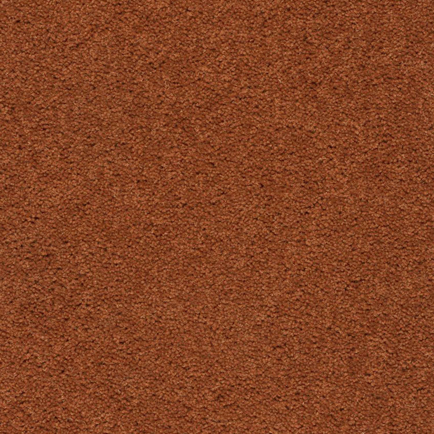 Axminster Carpets Devonia 80% Wool Blend Twist Carpet