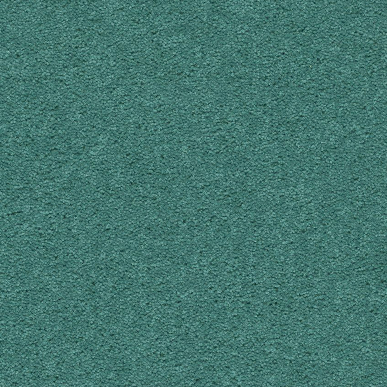 Axminster Carpets Devonia 80% Wool Blend Twist Carpet