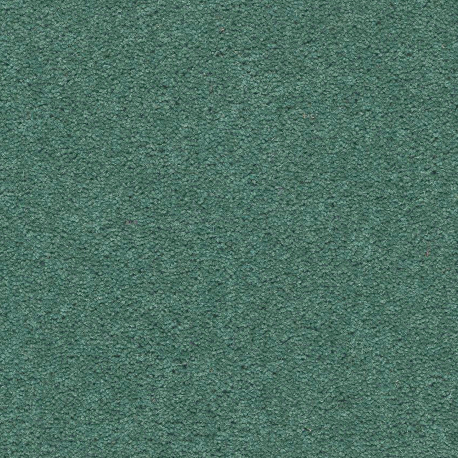 Axminster Carpets Devonia 80% Wool Blend Twist Carpet