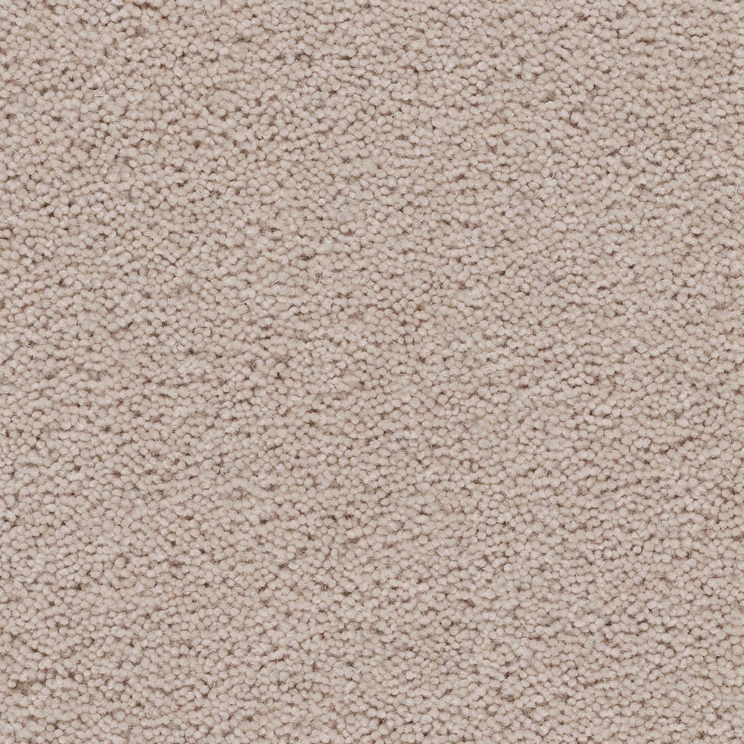Axminster Carpets Devonia 80% Wool Blend Twist Carpet