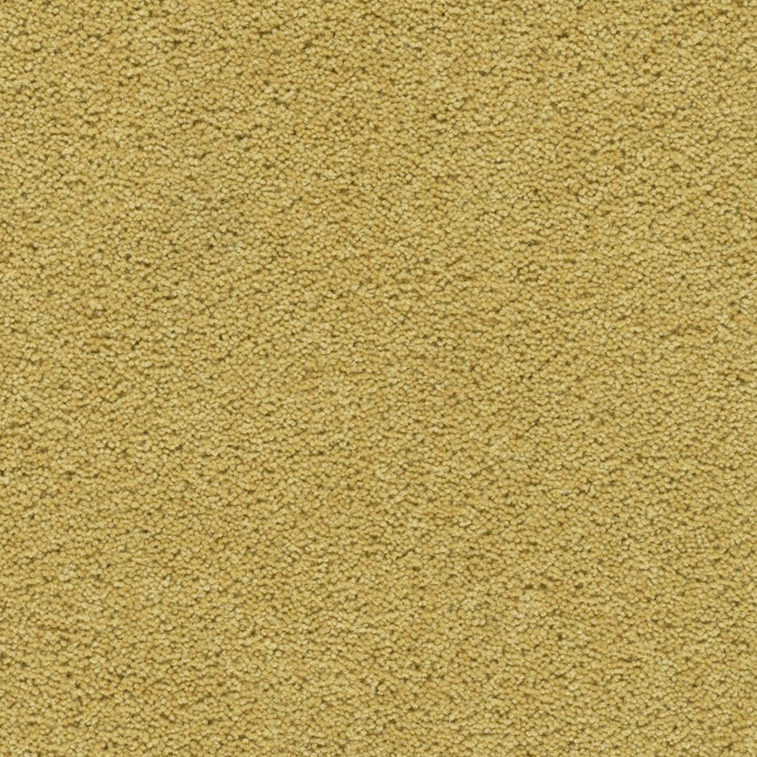 Axminster Carpets Devonia 80% Wool Blend Twist Carpet
