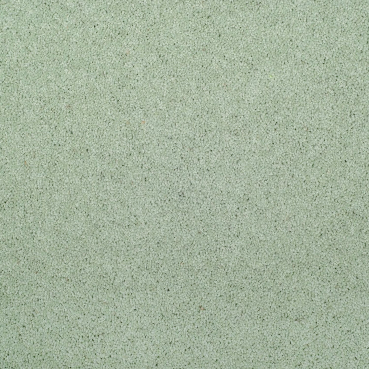 Axminster Carpets Devonia 80% Wool Blend Twist Carpet