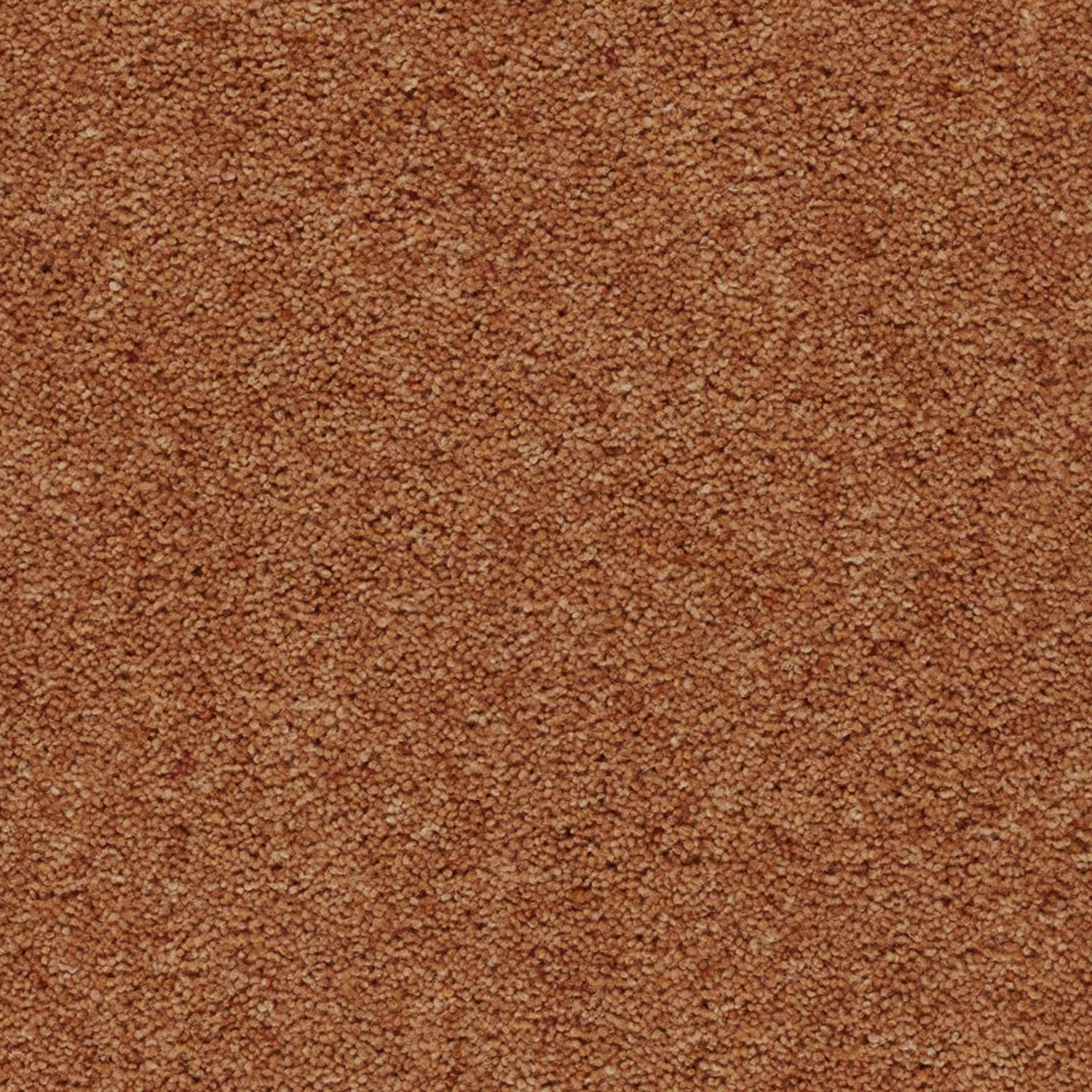 Axminster Carpets Moorland 100% Wool Twist Carpet