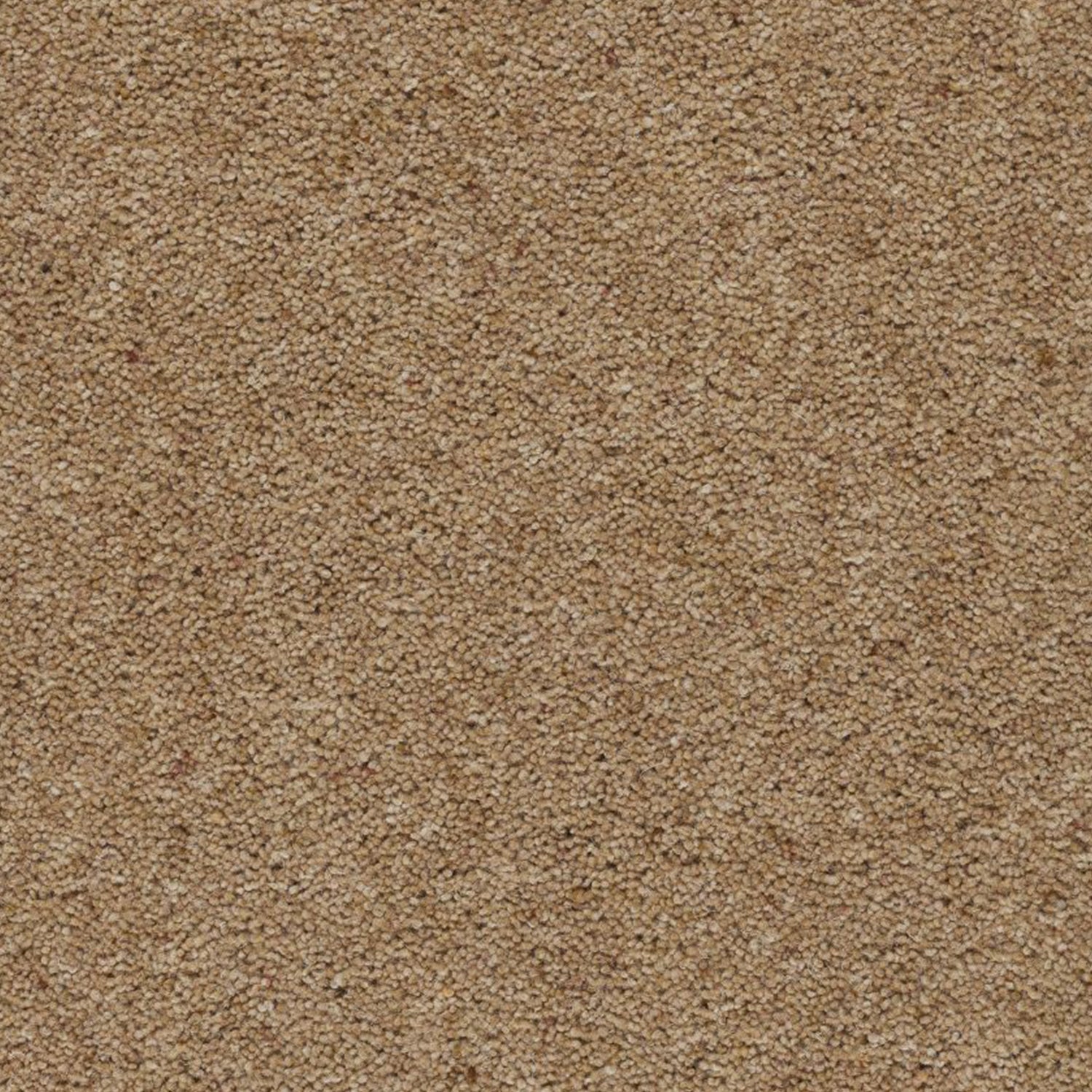 Axminster Carpets Moorland 100% Wool Twist Carpet