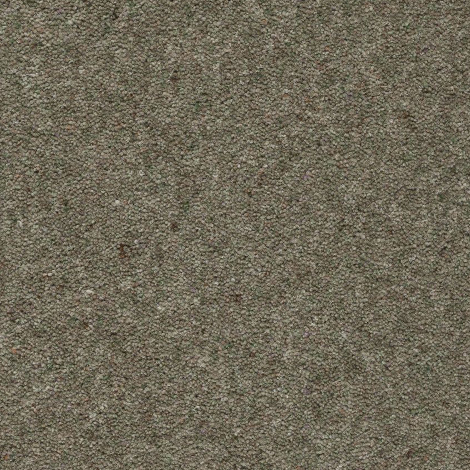 Axminster Carpets Moorland 100% Wool Twist Carpet