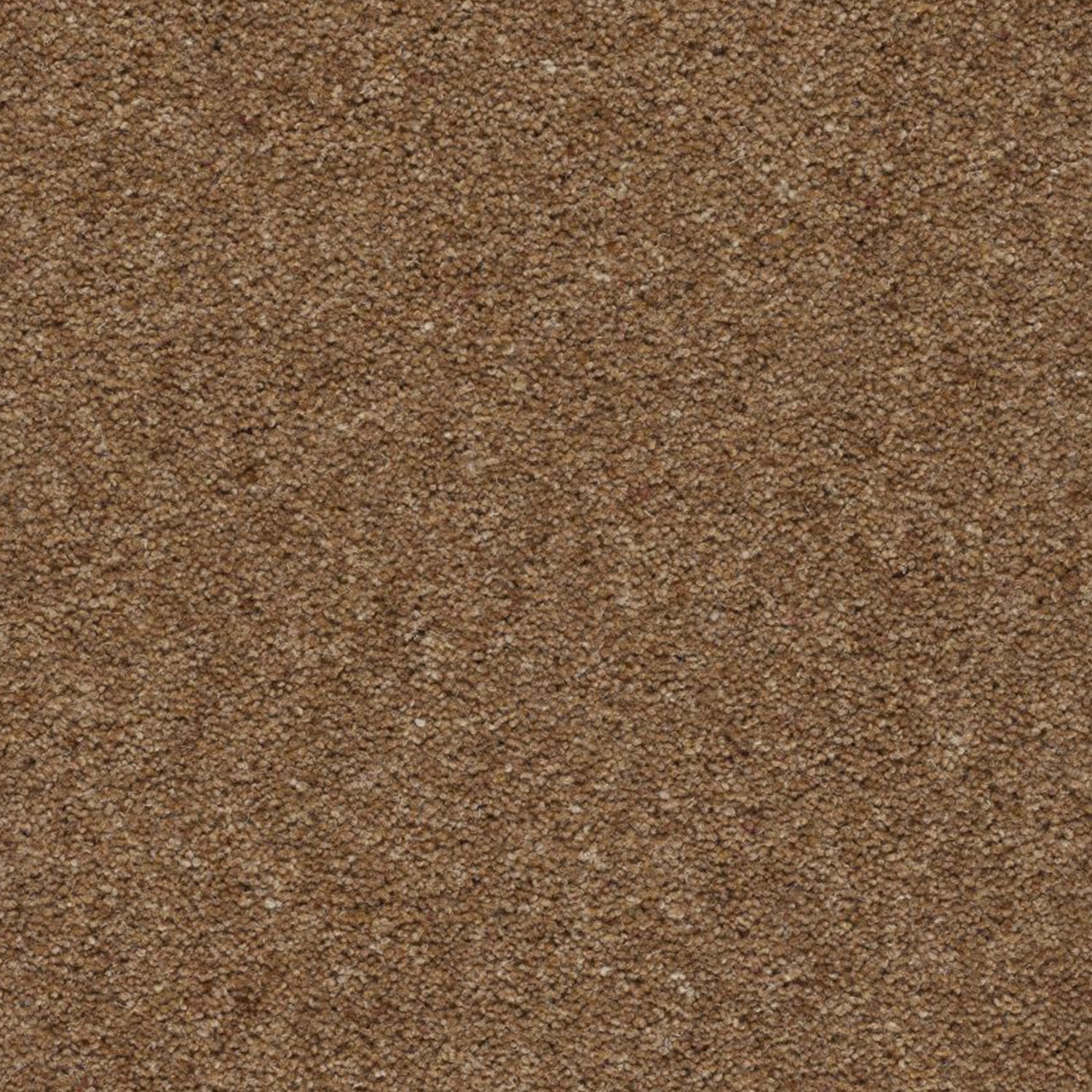 Axminster Carpets Moorland 100% Wool Twist Carpet