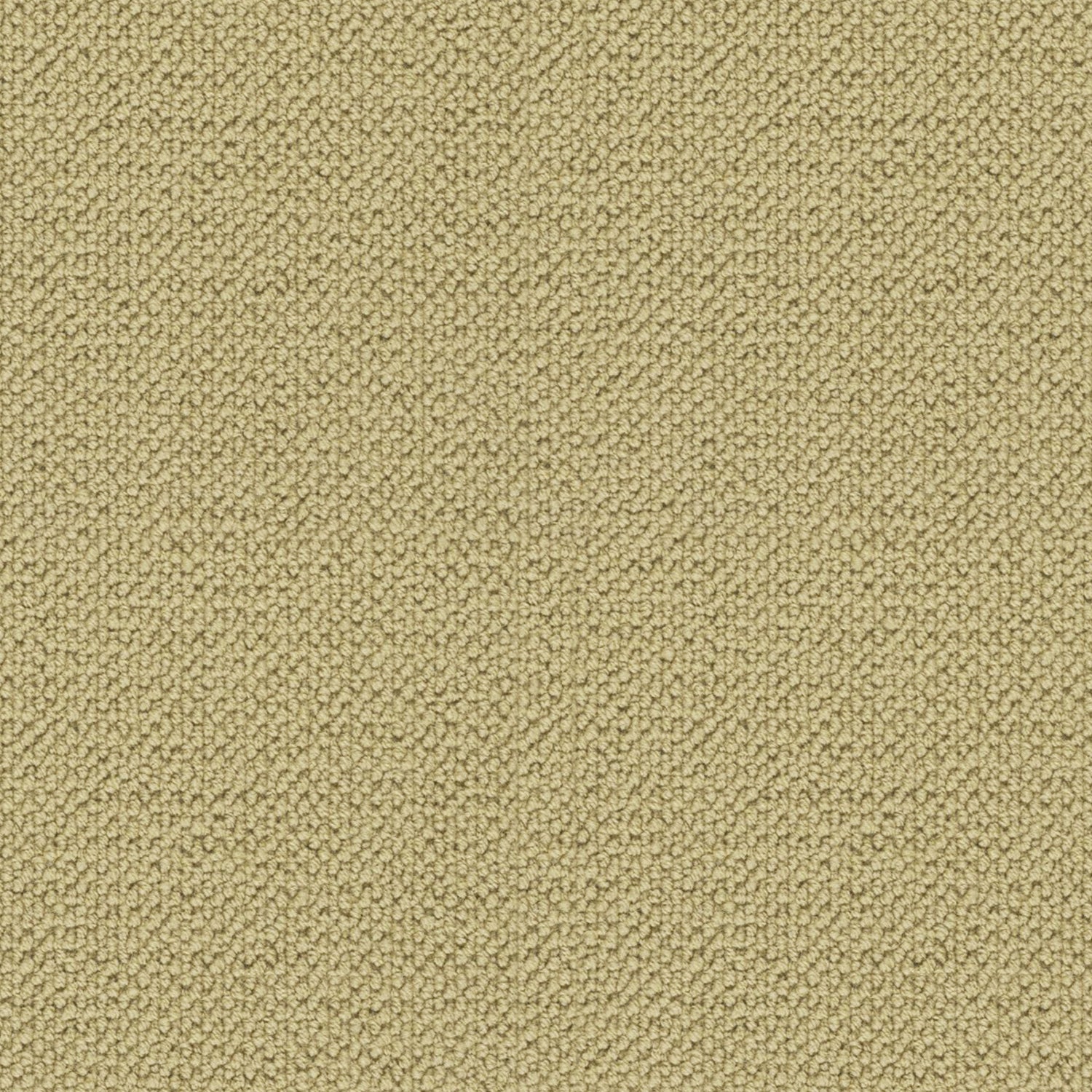 Axminster Carpets Simply Natural Grosgrain 100% Wool Loop Carpet