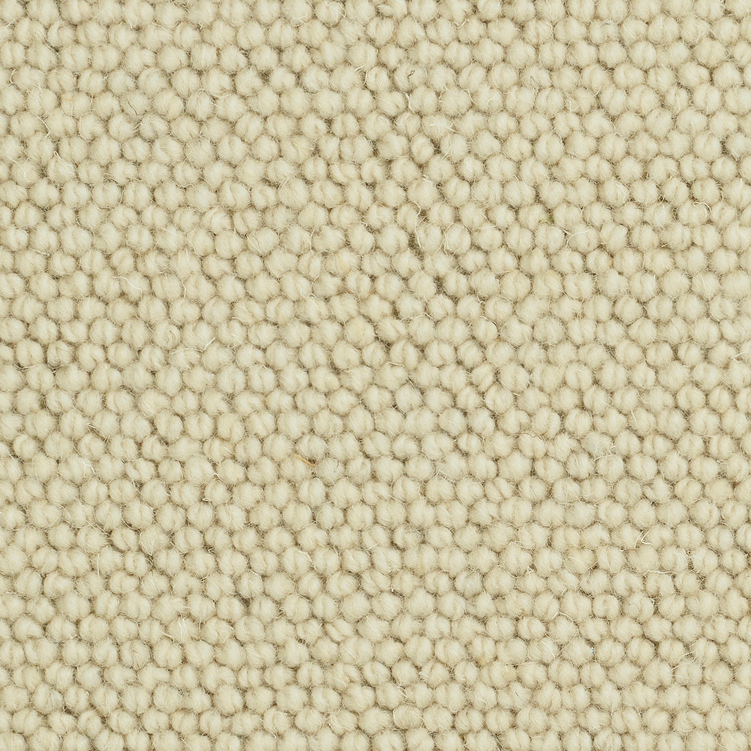 Causeway Carpets Camberley Classic 70% Wool Blend Loop Pile Carpet