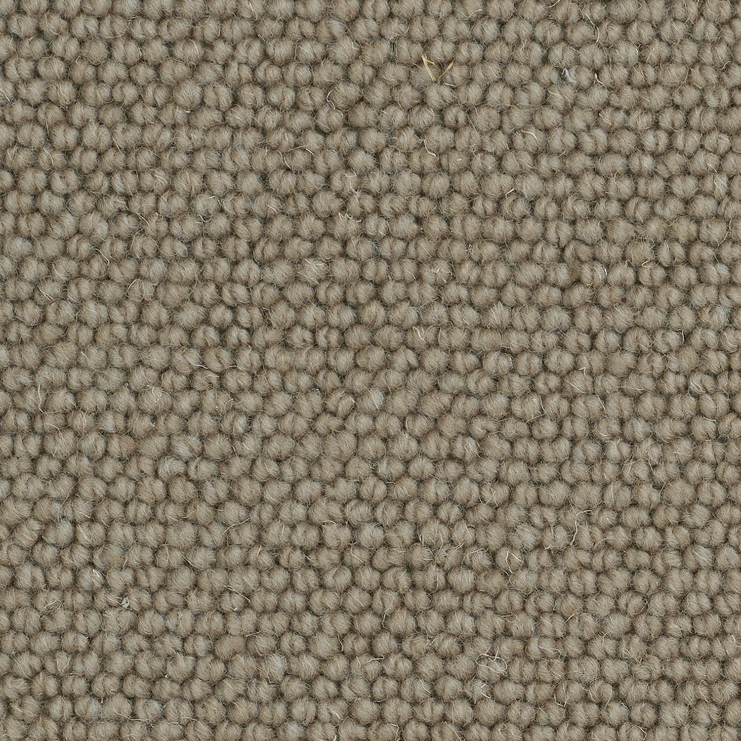Causeway Carpets Camberley Classic 70% Wool Blend Loop Pile Carpet