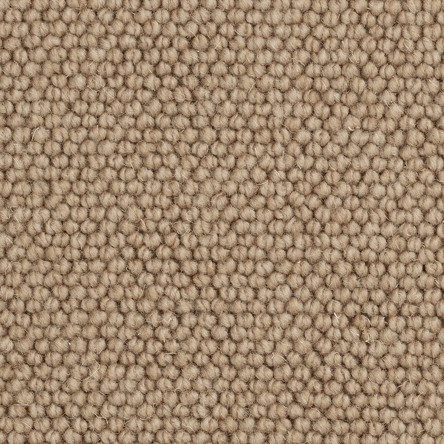 Causeway Carpets Camberley Classic 70% Wool Blend Loop Pile Carpet