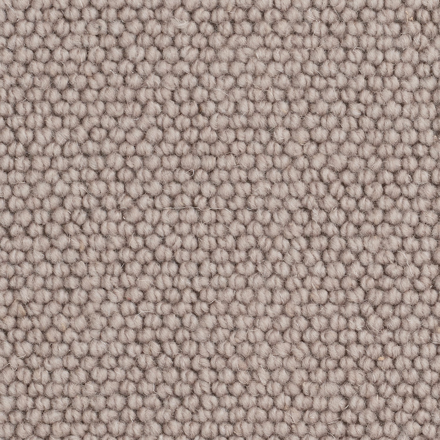 Causeway Carpets Camberley Classic 70% Wool Blend Loop Pile Carpet