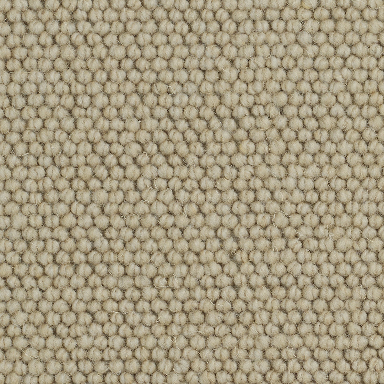 Causeway Carpets Camberley Classic 70% Wool Blend Loop Pile Carpet