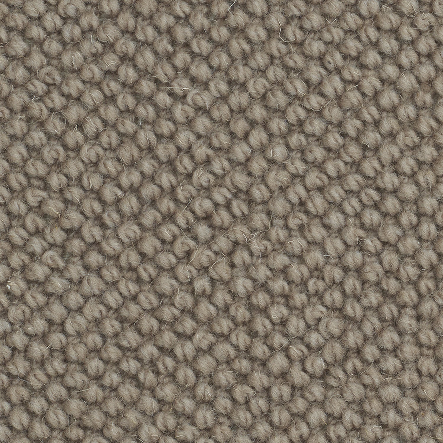 Causeway Carpets Camberley Textures 70% Wool Blend Loop Pile Carpet