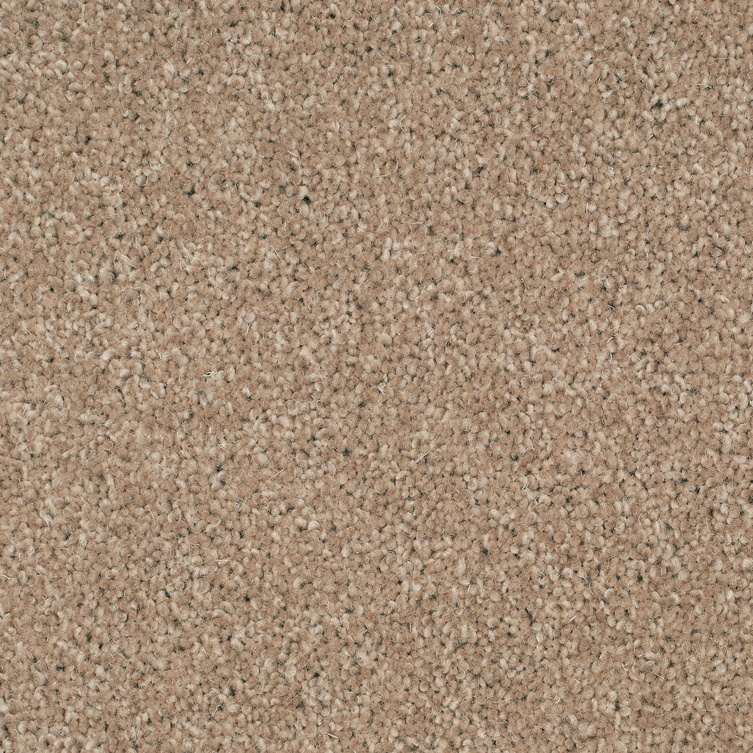 Causeway Carpets 40oz City Twist 80% Wool Blend Twist Pile Carpet