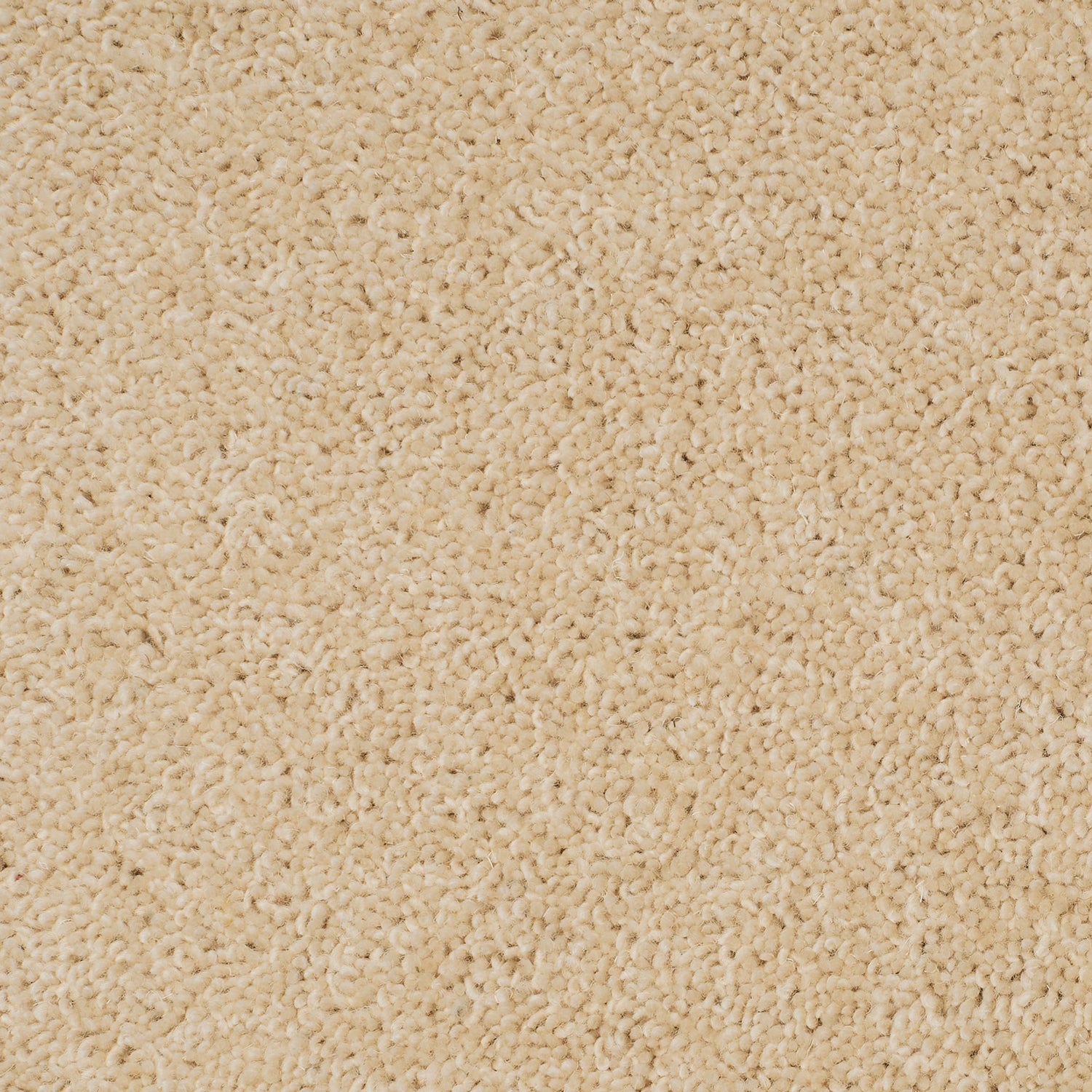 Causeway Carpets 40oz City Twist 80% Wool Blend Twist Pile Carpet
