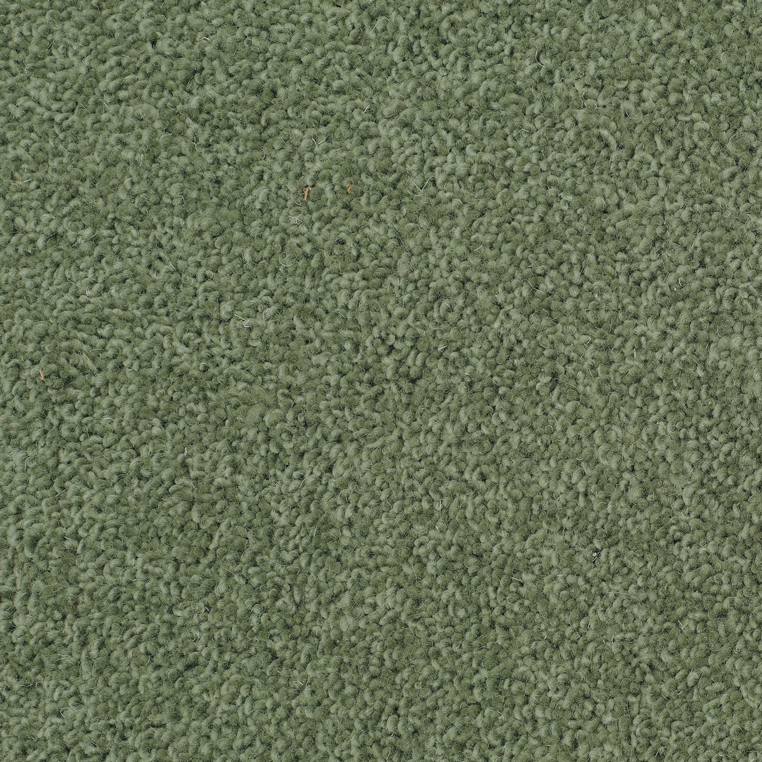 Causeway Carpets 40oz City Twist 80% Wool Blend Twist Pile Carpet