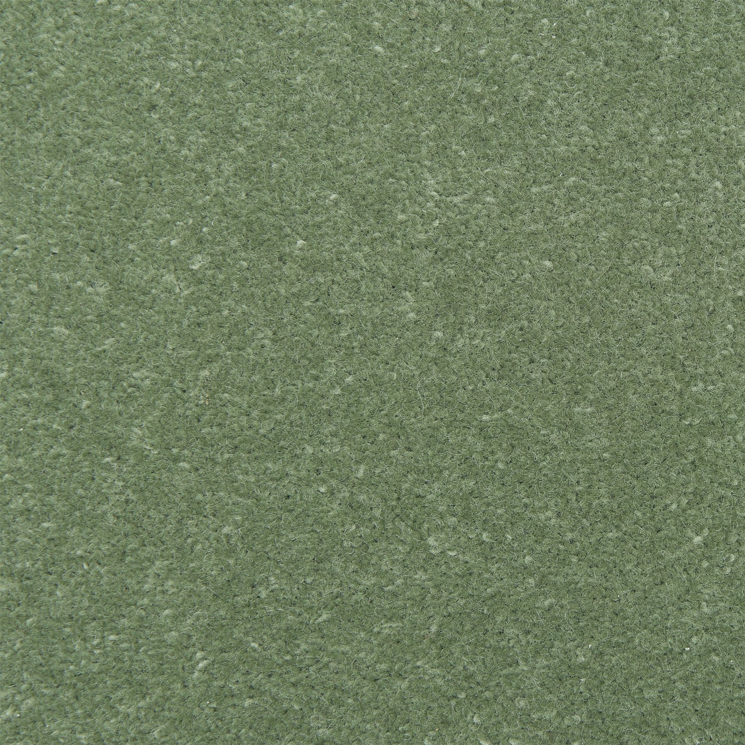 Causeway Carpets Fine Velvet 80% Wool Blend Velvet Carpet