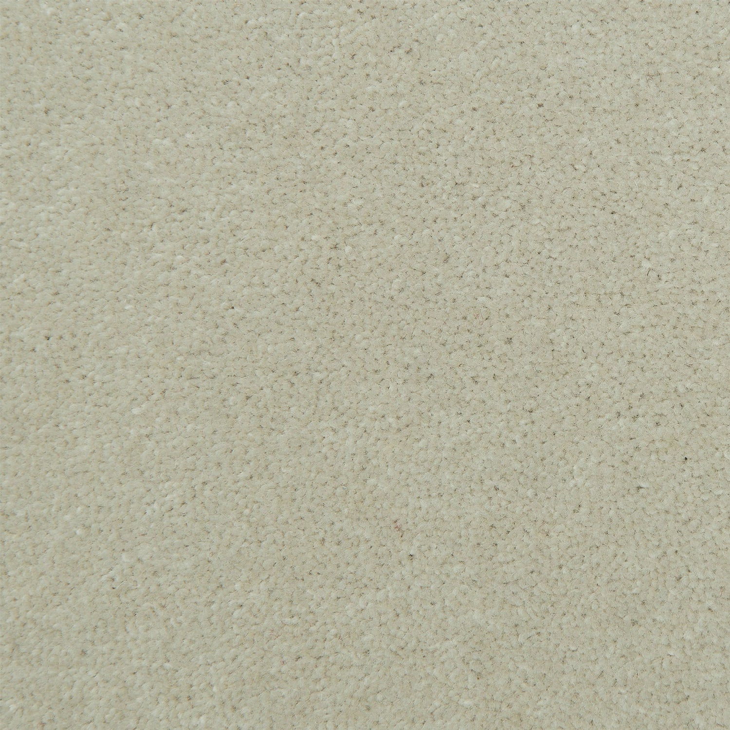 Causeway Carpets Fine Velvet 80% Wool Blend Velvet Carpet