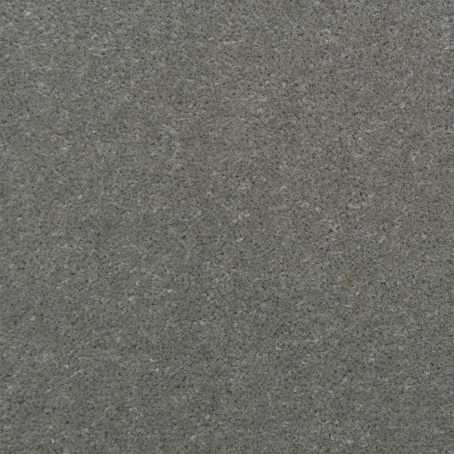 Causeway Carpets Fine Velvet 80% Wool Blend Velvet Carpet