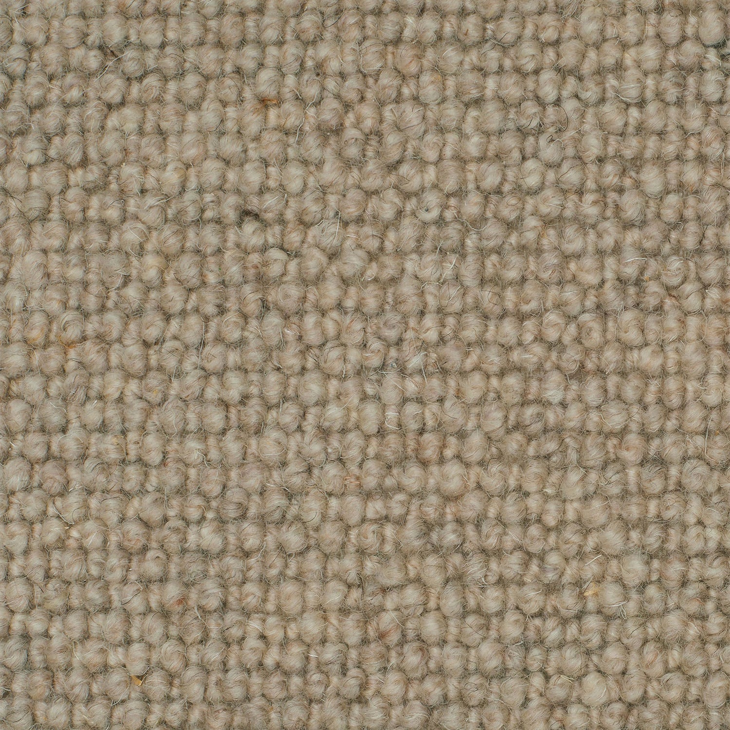 Causeway Carpets Galway Cobble 100% Wool Loop Pile Carpet