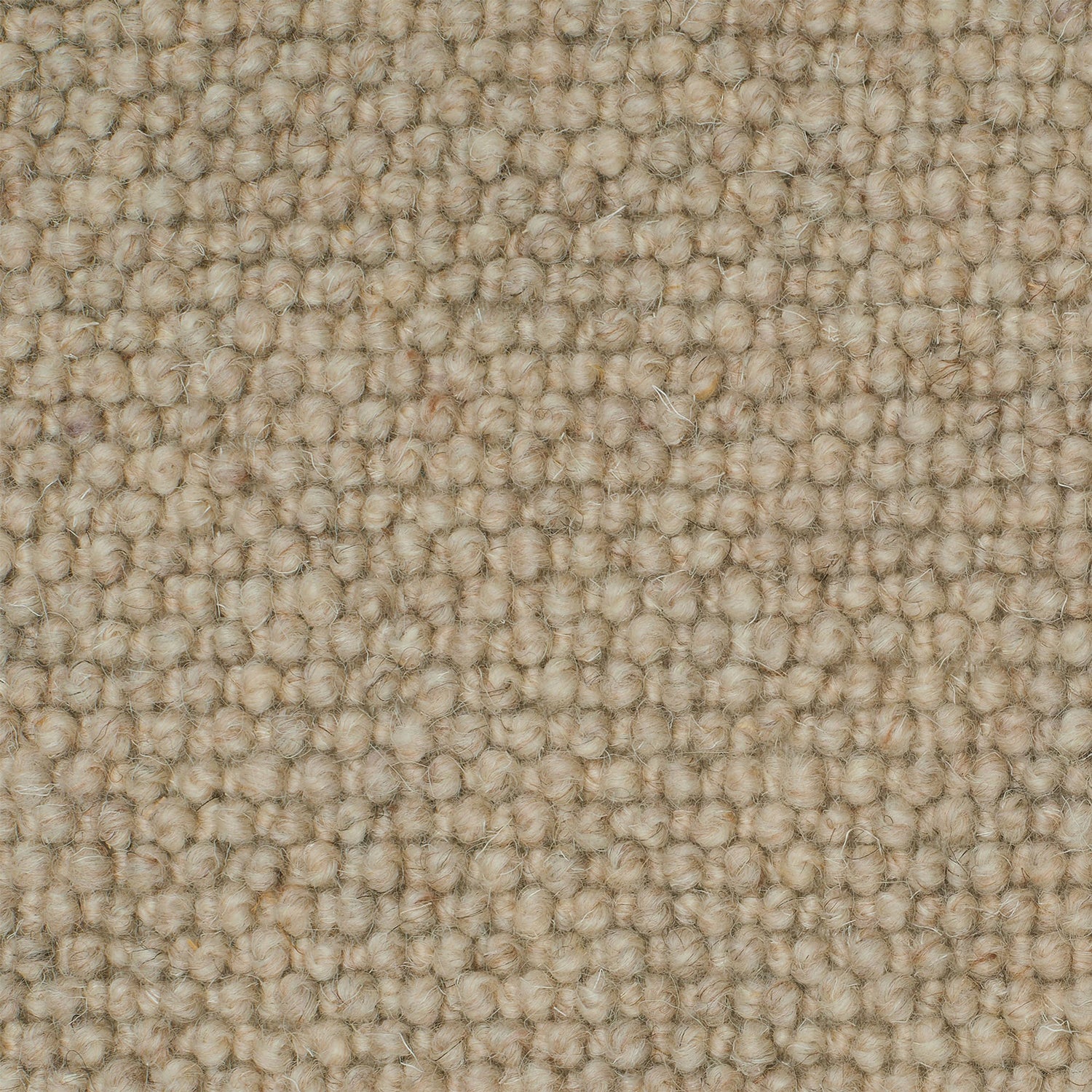 Causeway Carpets Galway Cobble 100% Wool Loop Pile Carpet