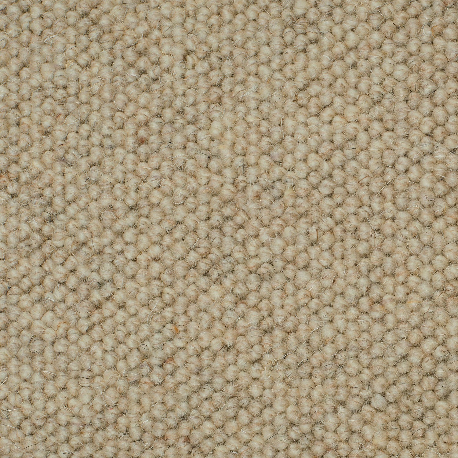 Causeway Carpets Galway Weave 100% Wool Loop Pile Carpet