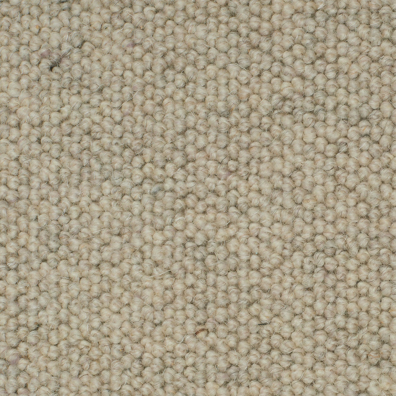Causeway Carpets Galway Weave 100% Wool Loop Pile Carpet