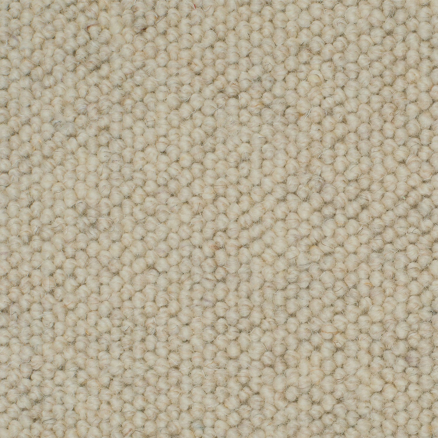 Causeway Carpets Galway Weave 100% Wool Loop Pile Carpet