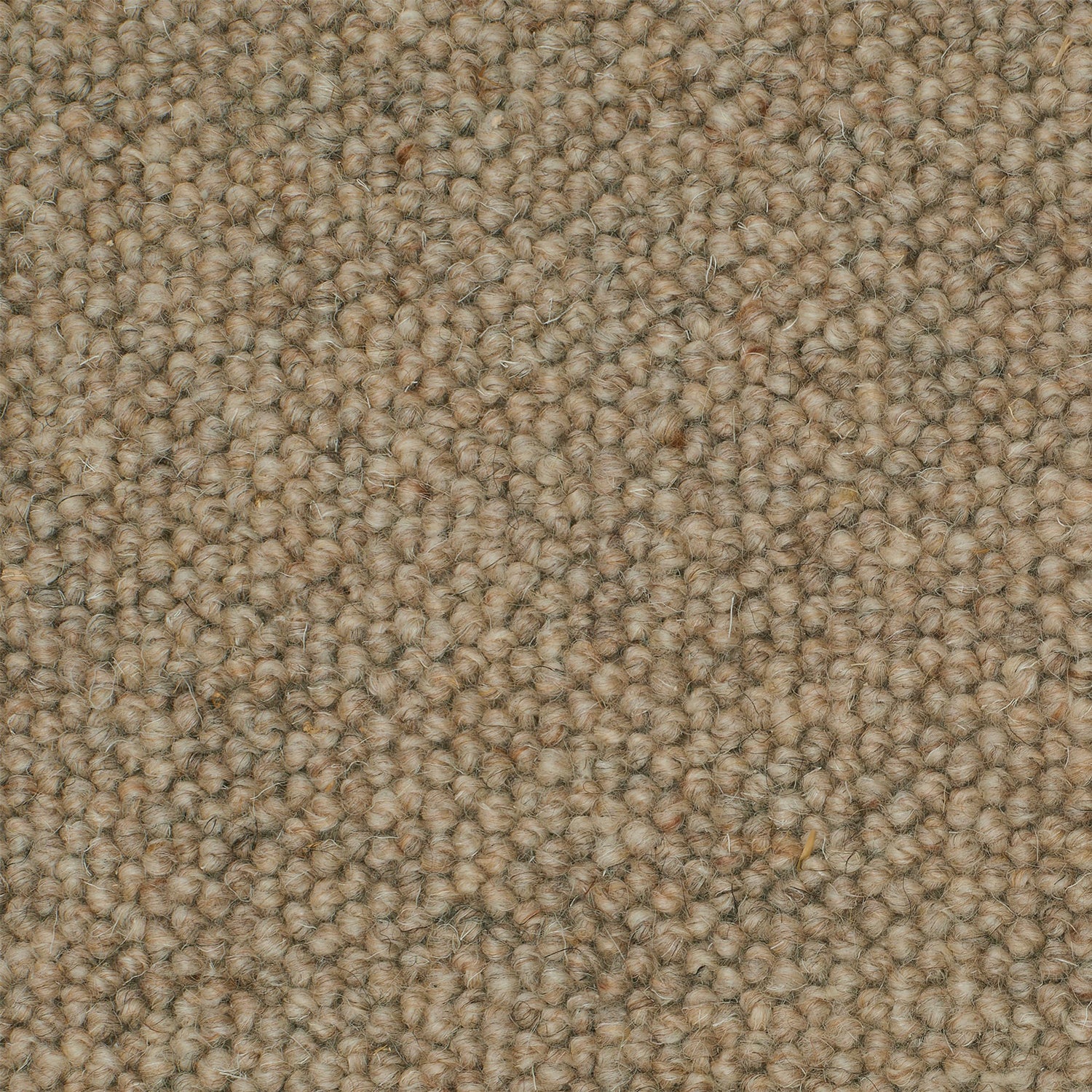 Causeway Carpets Galway Weave 100% Wool Loop Pile Carpet