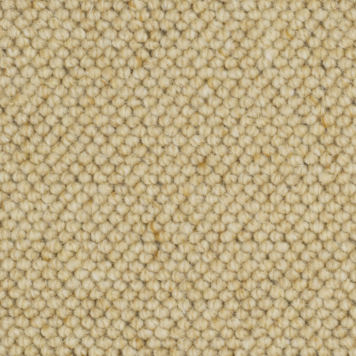 Causeway Carpets Nature Core 100% Wool Loop Pile Carpet