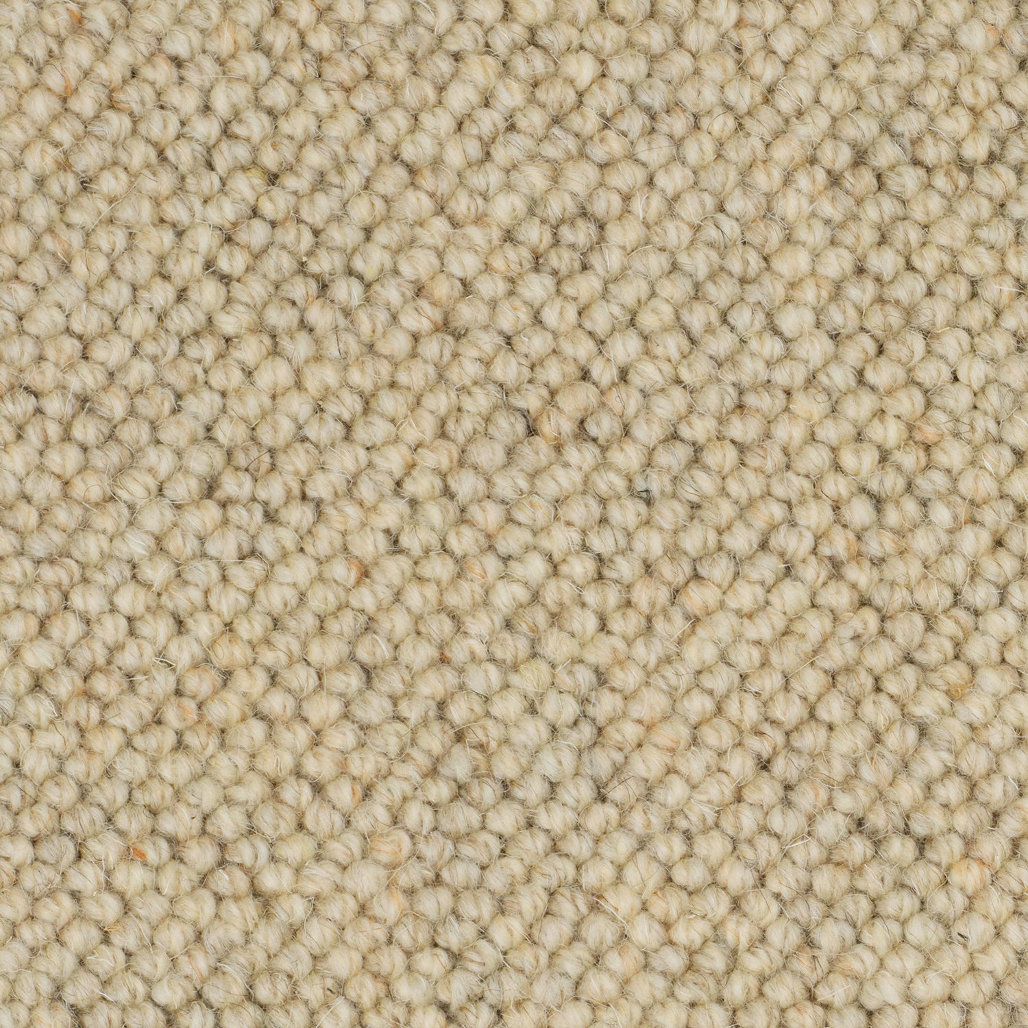 Causeway Carpets Nature Core 100% Wool Loop Pile Carpet