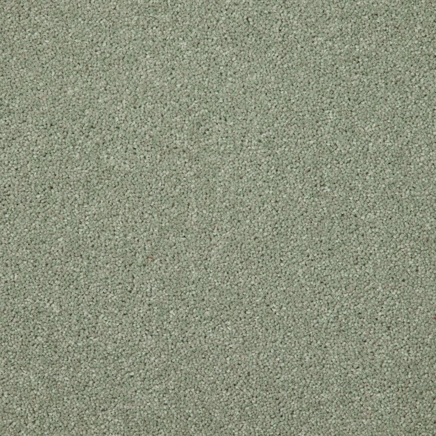Cormar 50oz Hampstead Deluxe 80% Wool Blend Twist Pile Carpet