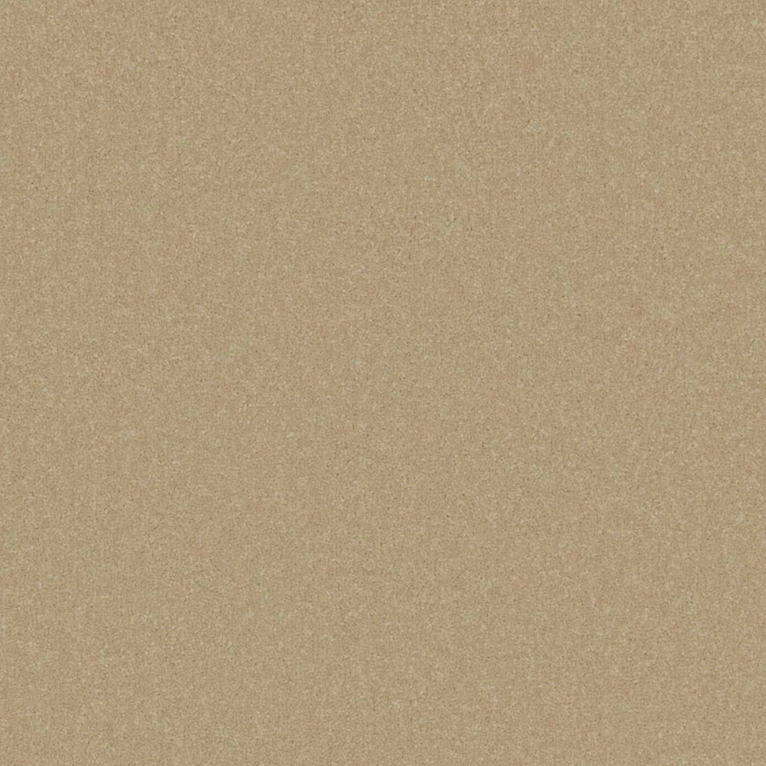 Cormar Primo Plus Twist Carpet