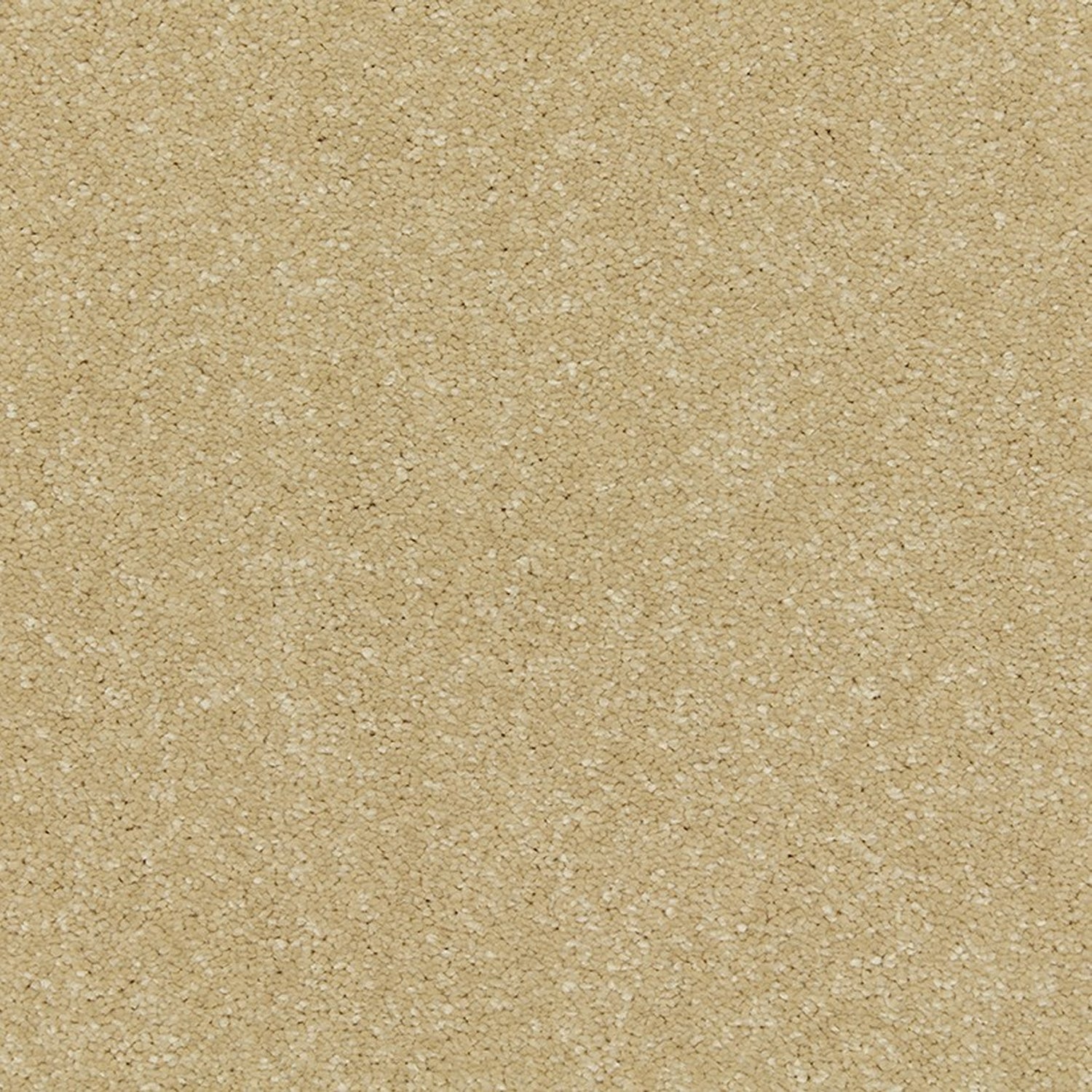 Cormar Riva Saxony Carpet