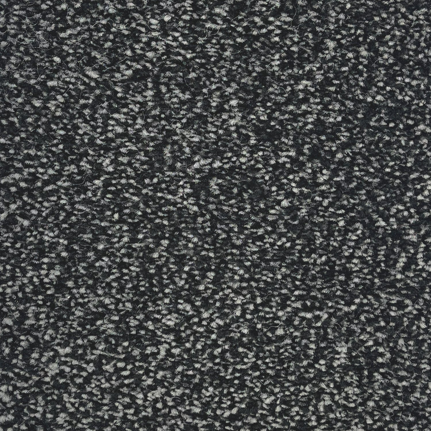 Flor Boston Saxony Carpet